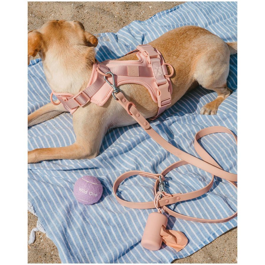 Wild One Harness - M - Pink