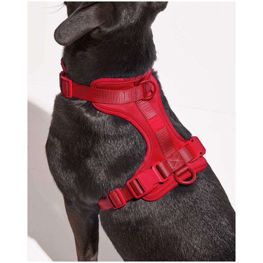 Wild One Harness - M - Strawberry