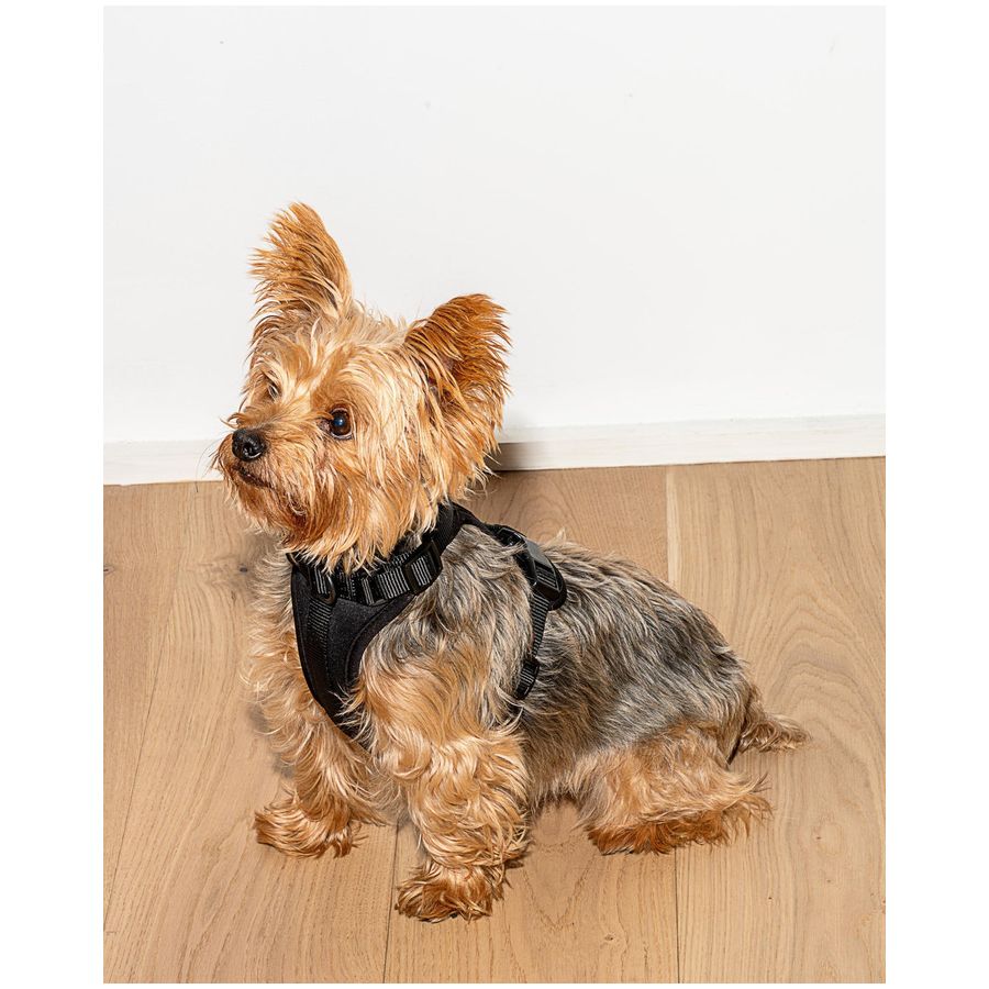 Wild One Harness - L - Black