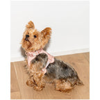 Wild One Harness - L - Pink