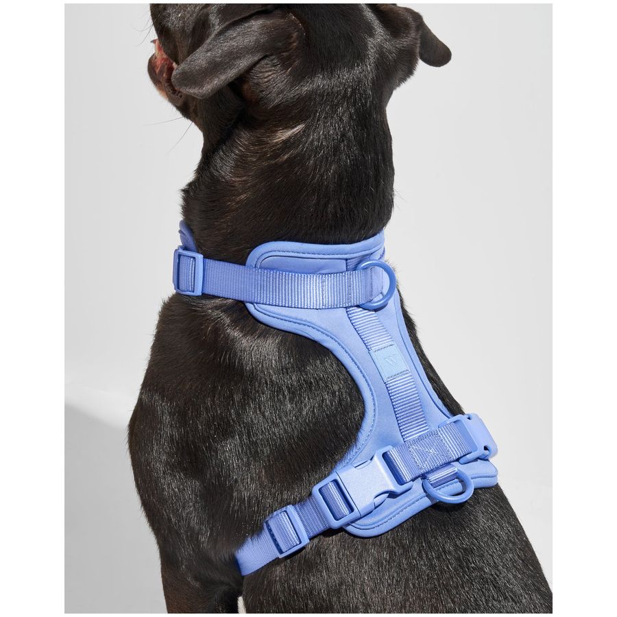 Wild One Harness - L - Moonstone