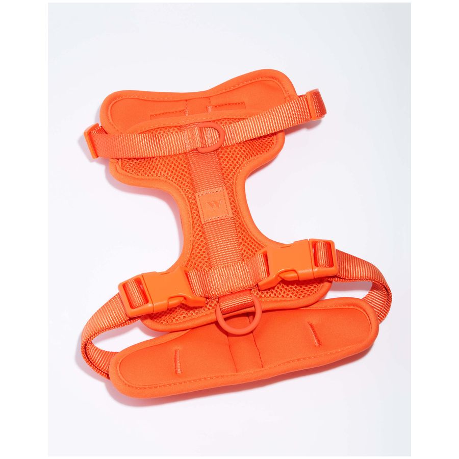 Wild One Harness - L - Blaze