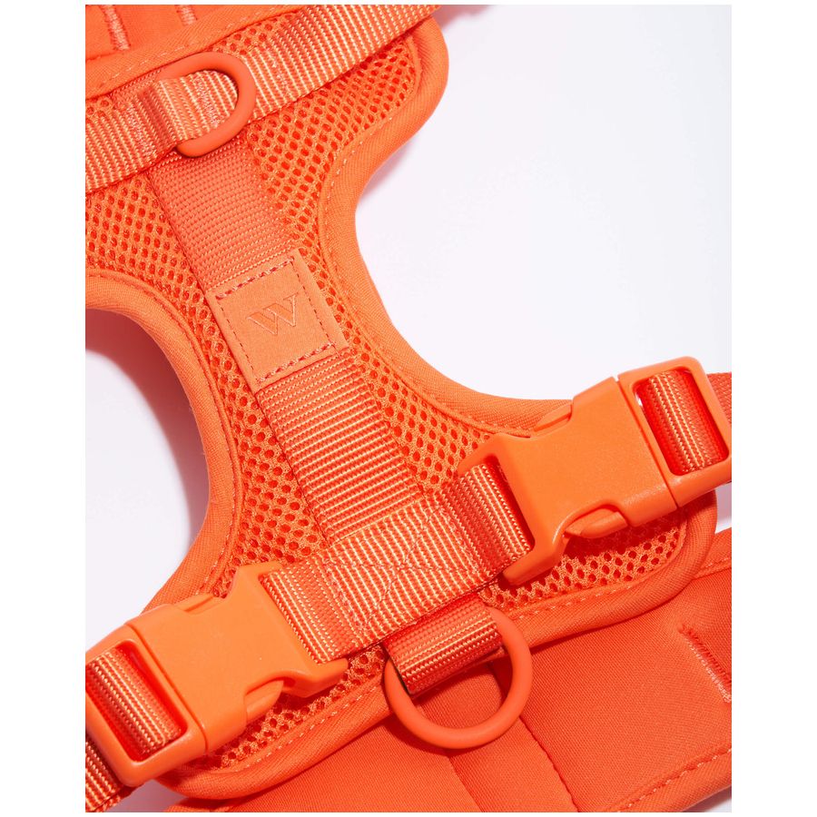 Wild One Harness - L - Blaze