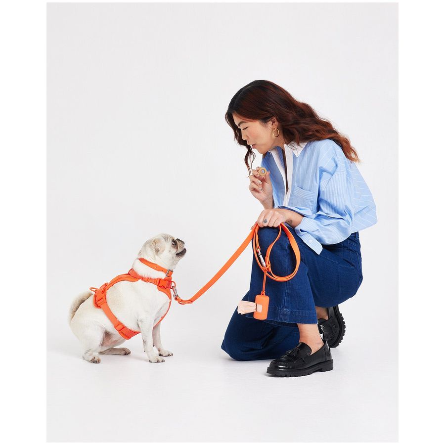 Wild One Poo Bag Carrier - Blaze