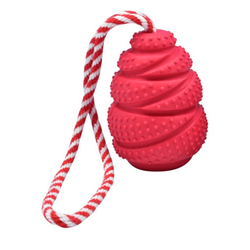 Ferribiella Fuxtreme Interactive Dog Chew Toy - Small