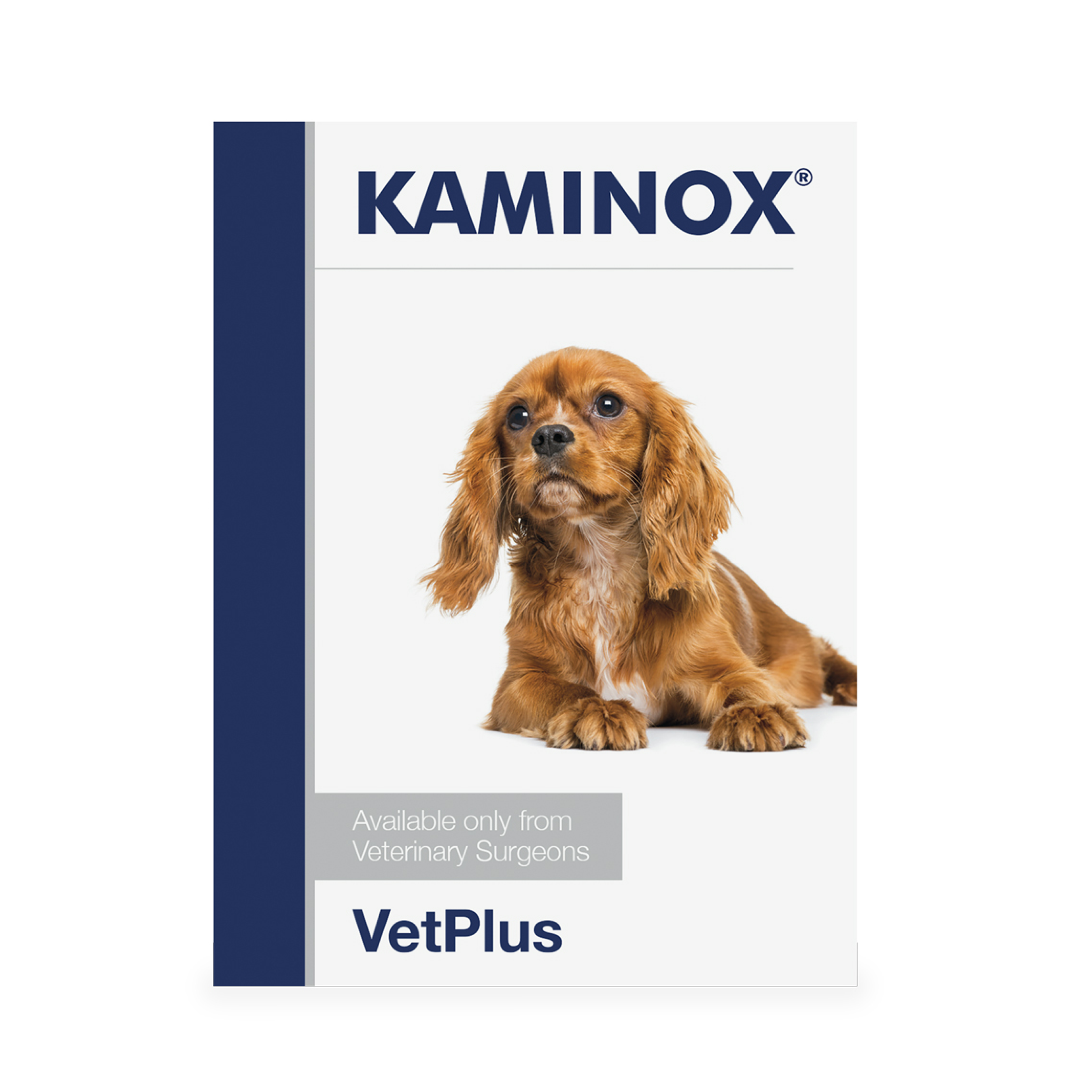 Kaminox Oral Potassium 5.4g per sachet