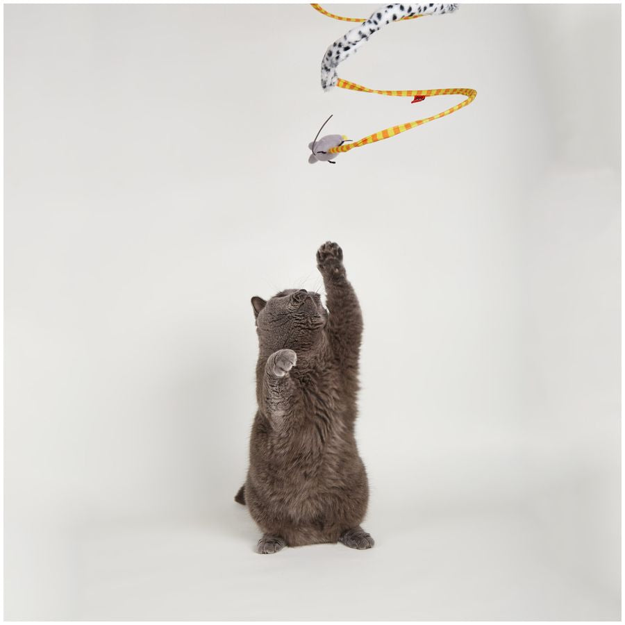 FOFOS Safari Spiral Tunnel Cat Toy