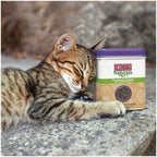 Kong Cat Premium Catnip 28.3g