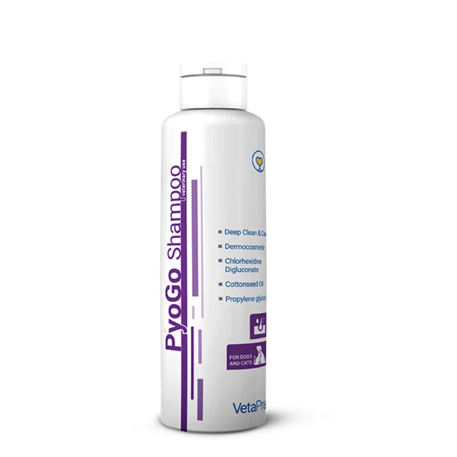PyoGo Shampoo 250mL per bottle