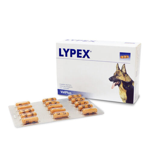 Lypex per of 15 Blisters