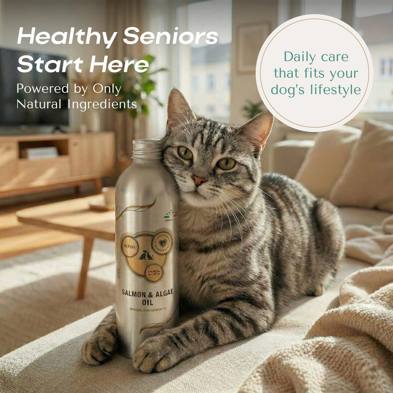O2 Pets For Senior 7+ Omega Platinum Stomach and Immunity Support 250mL per bottle