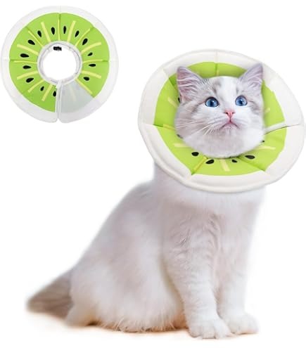 Soft Collar - Kiwi - Large