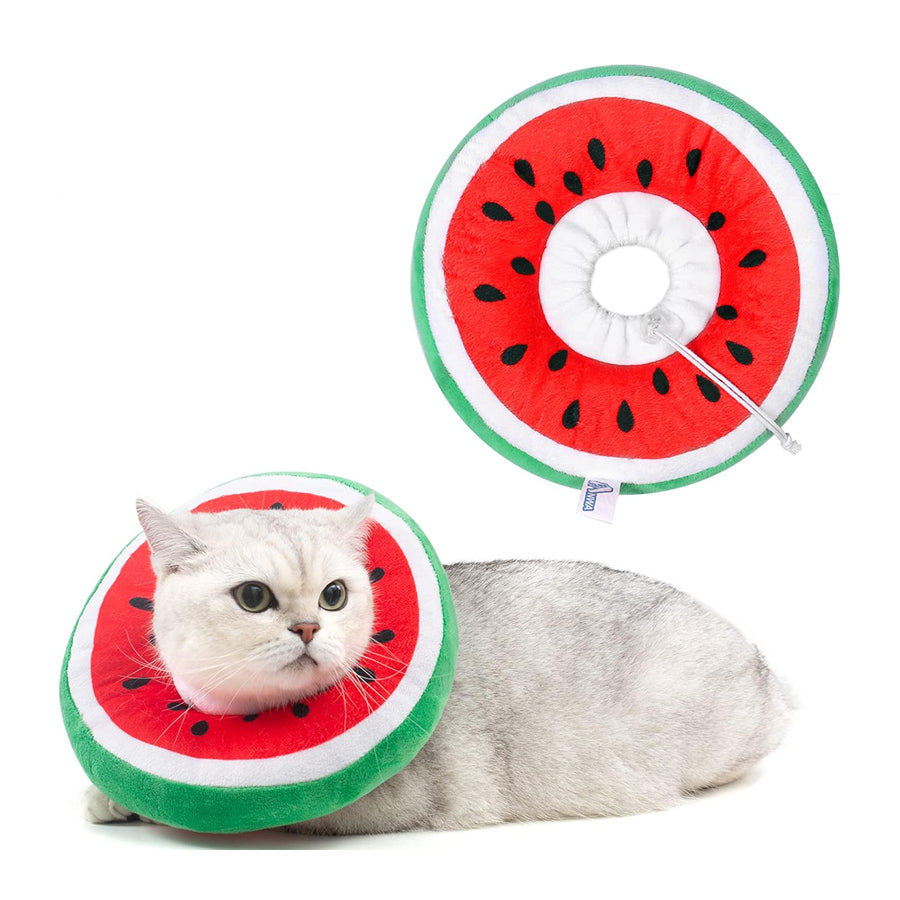 Soft Collar - Watermelon - Large