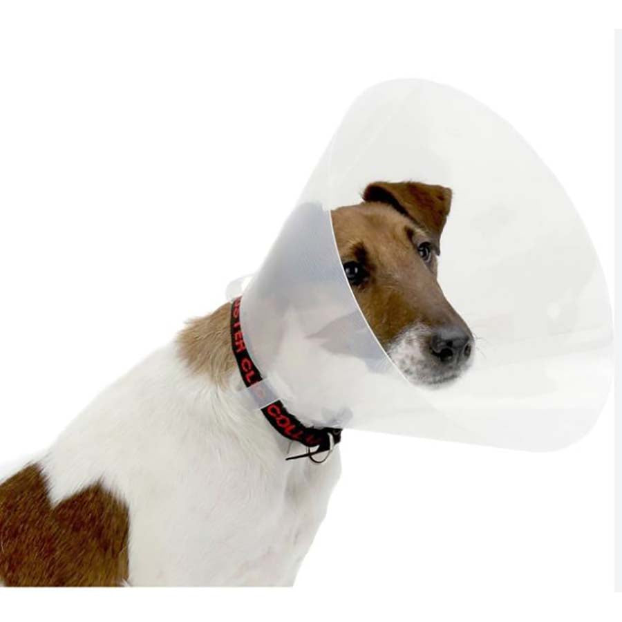 Buster Classic Collar 25cm