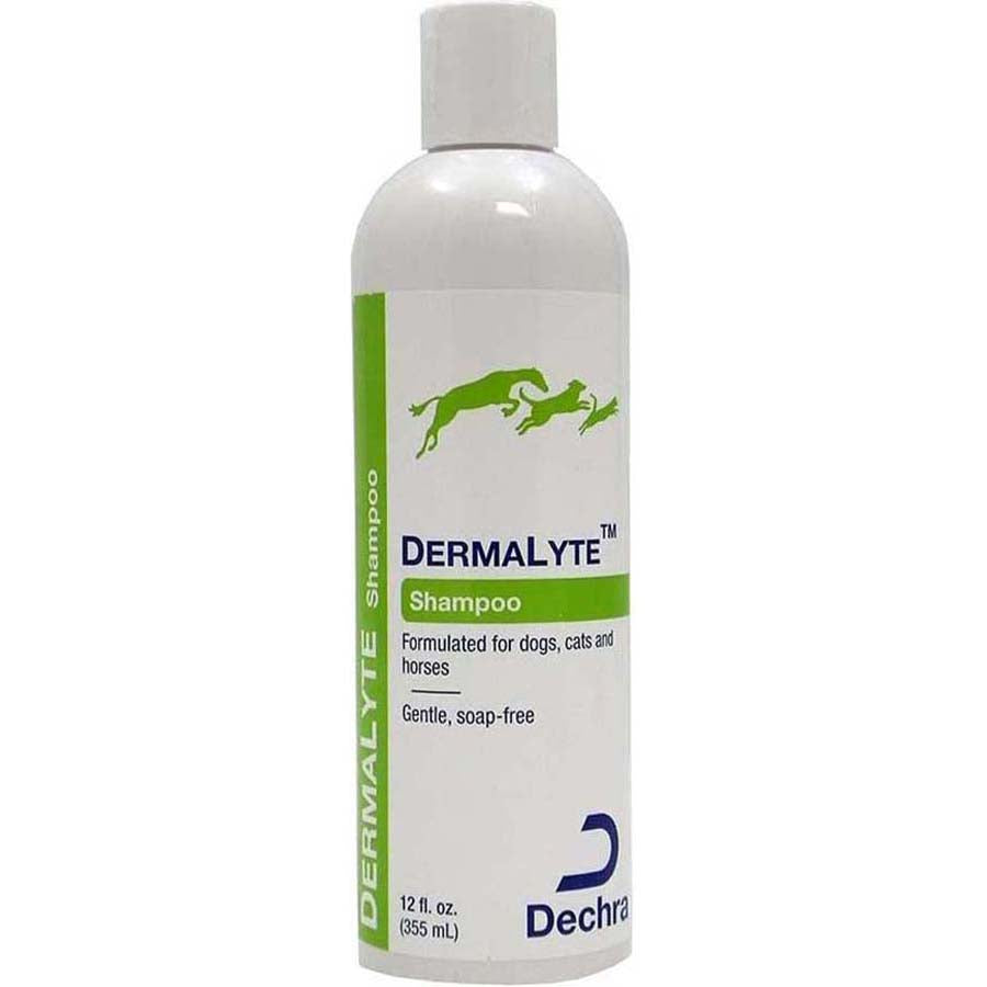 DermaLyte Shampoo 355mL per bottle