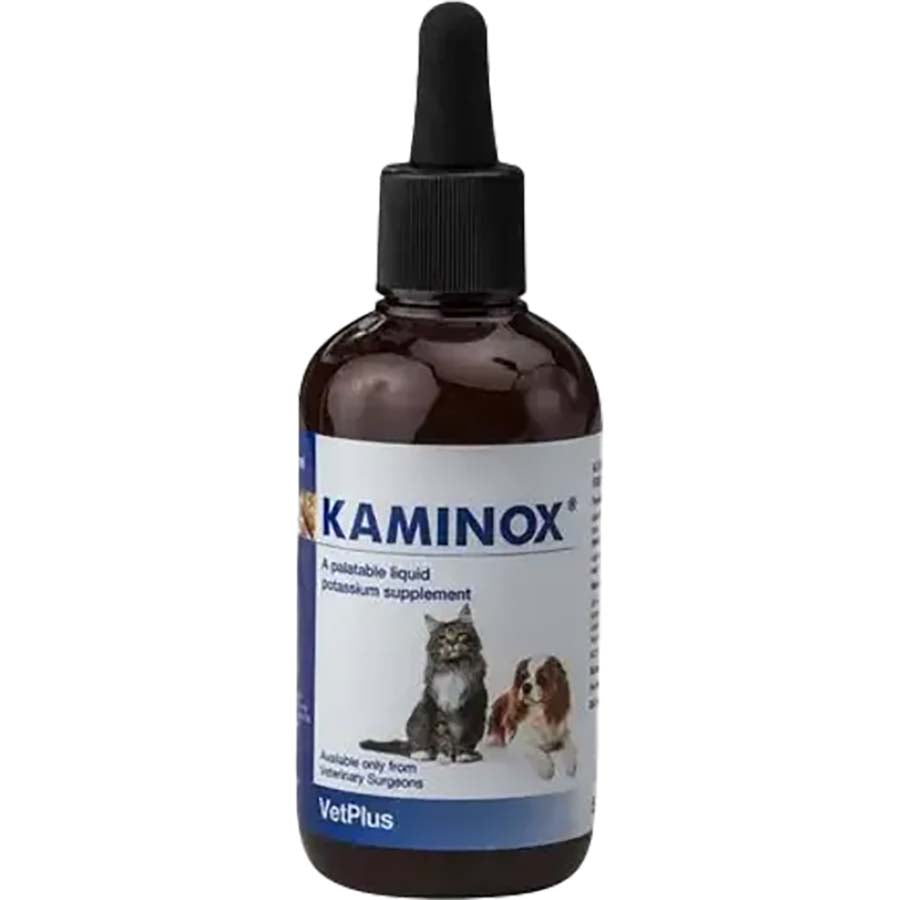 Kaminox Oral Potassium 120mL per bottle