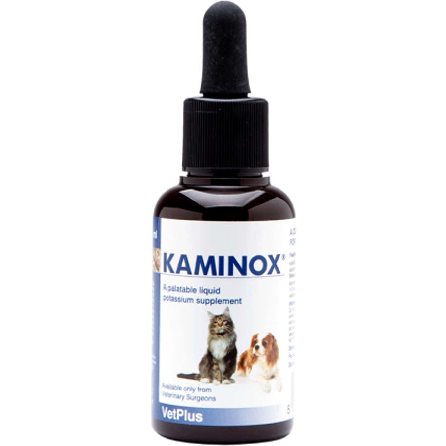 Kaminox Oral Potassium 60mL per bottle