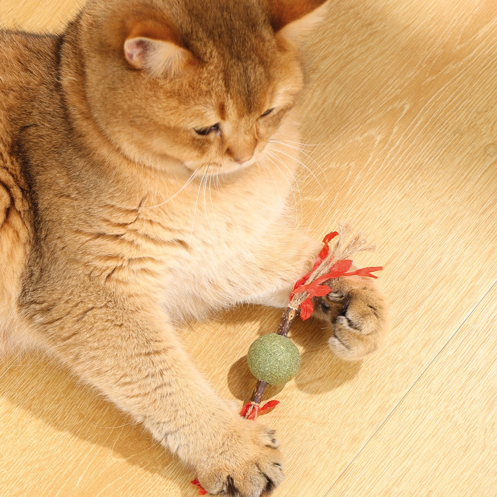 M-Pets Charmy Branch Red Catnip Toy
