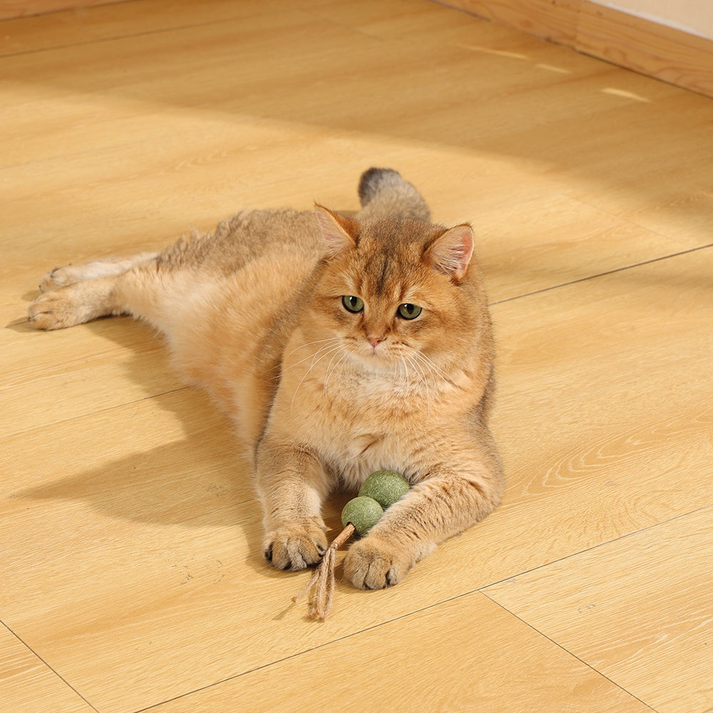 M-PETS Charmy Snowman Catnip Cat Toy