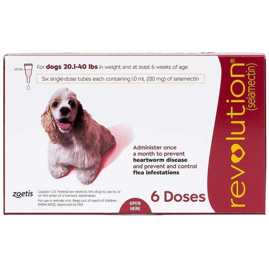 Revolution for Medium Dogs 120mg per pipette