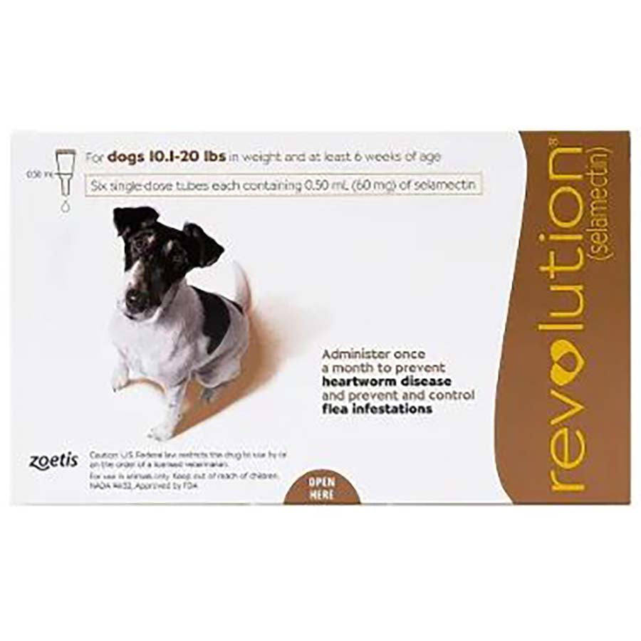 Revolution for Small Dogs 60mg per pipette