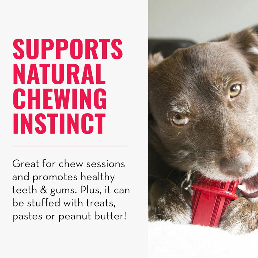 Kong Dental Stick Dog Toy Medium