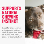 Kong Dental Stick Dog Toy Medium