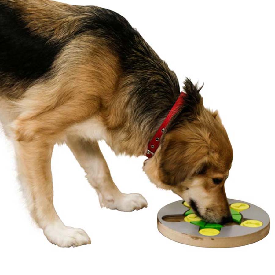 Kerbl Thinking and Learning Brain Game Dog Toy - Switch