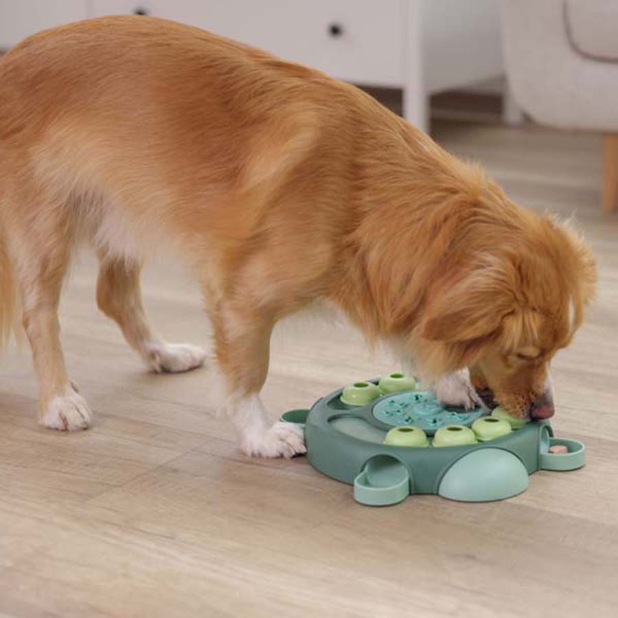 Kerbl Thinking and Learning Brain Game Dog Toy - Turtle