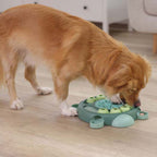 Kerbl Thinking and Learning Brain Game Dog Toy - Turtle