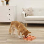 Kerbl Thinking and Learning Brain Game Dog Toy - Owl