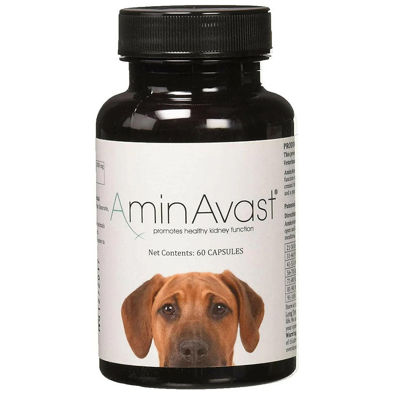 AminAvast Kidney Support for Cats and Dogs 60-capsule bottle