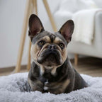 Kerbl Cozy Pet Bed - Fluffy Grey 60cm