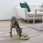 Kerbl Thinking and Learning Brain Game Dog Toy - Switch