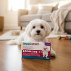 Simparica Trio >2.5kg to 5kg per box