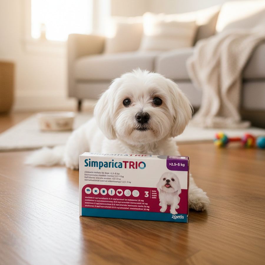 Simparica Trio >2.5kg to 5kg per box