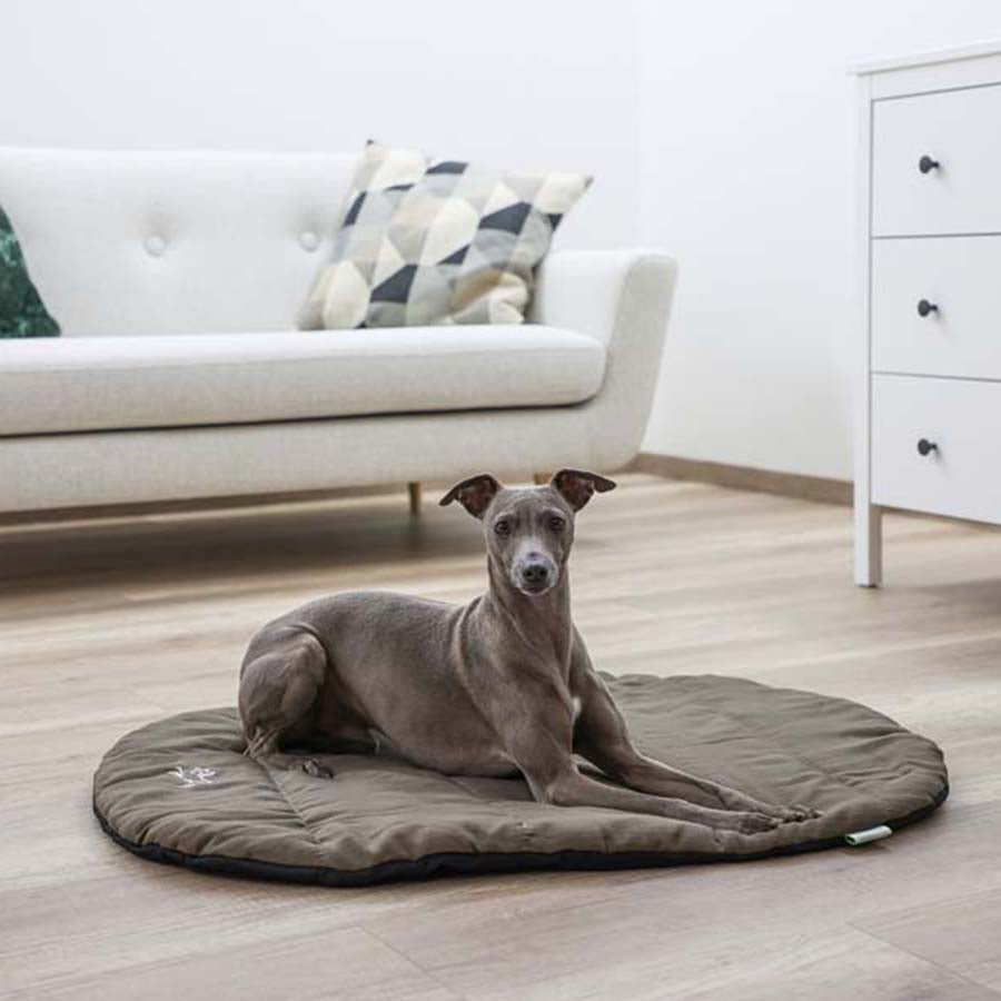 Kerbl Pet Travel Cushion with Cover Bag - Taupe