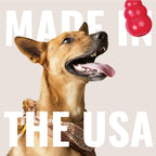 Kong Dental Stick Dog Toy Medium