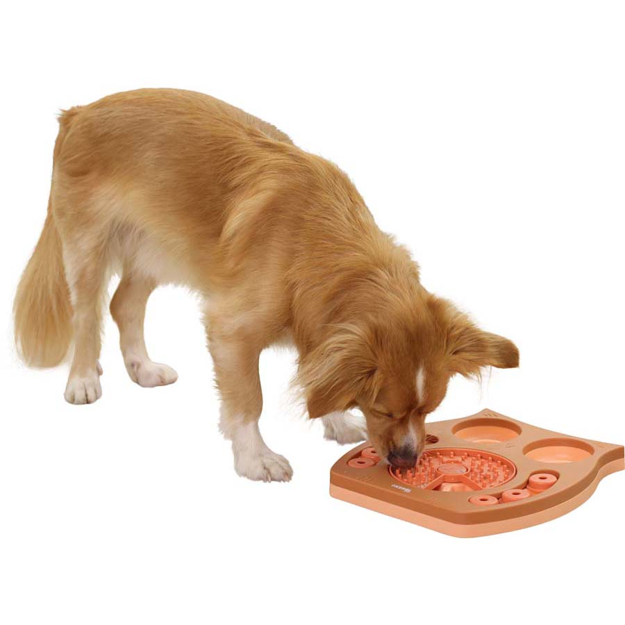 Kerbl Thinking and Learning Brain Game Dog Toy - Owl