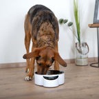 Eyenimal Intelligent Pet Bowl Large