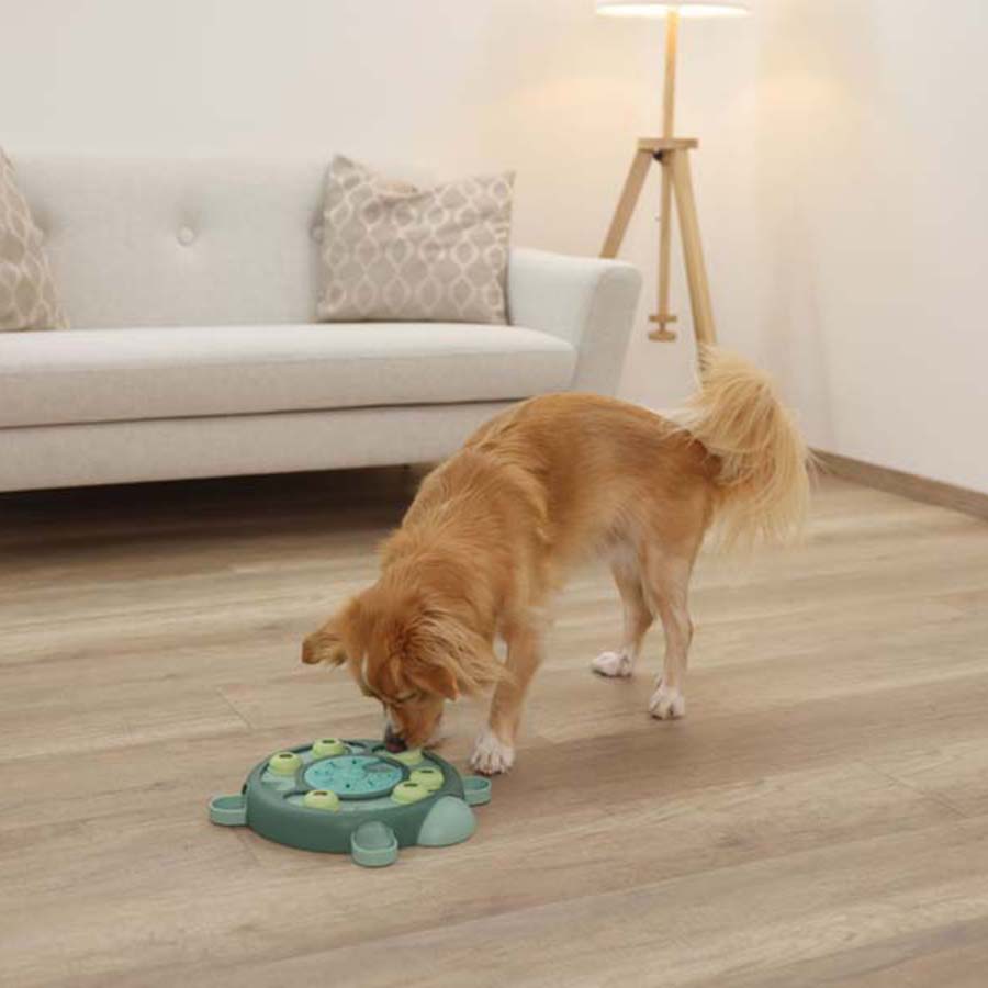 Kerbl Thinking and Learning Brain Game Dog Toy - Turtle
