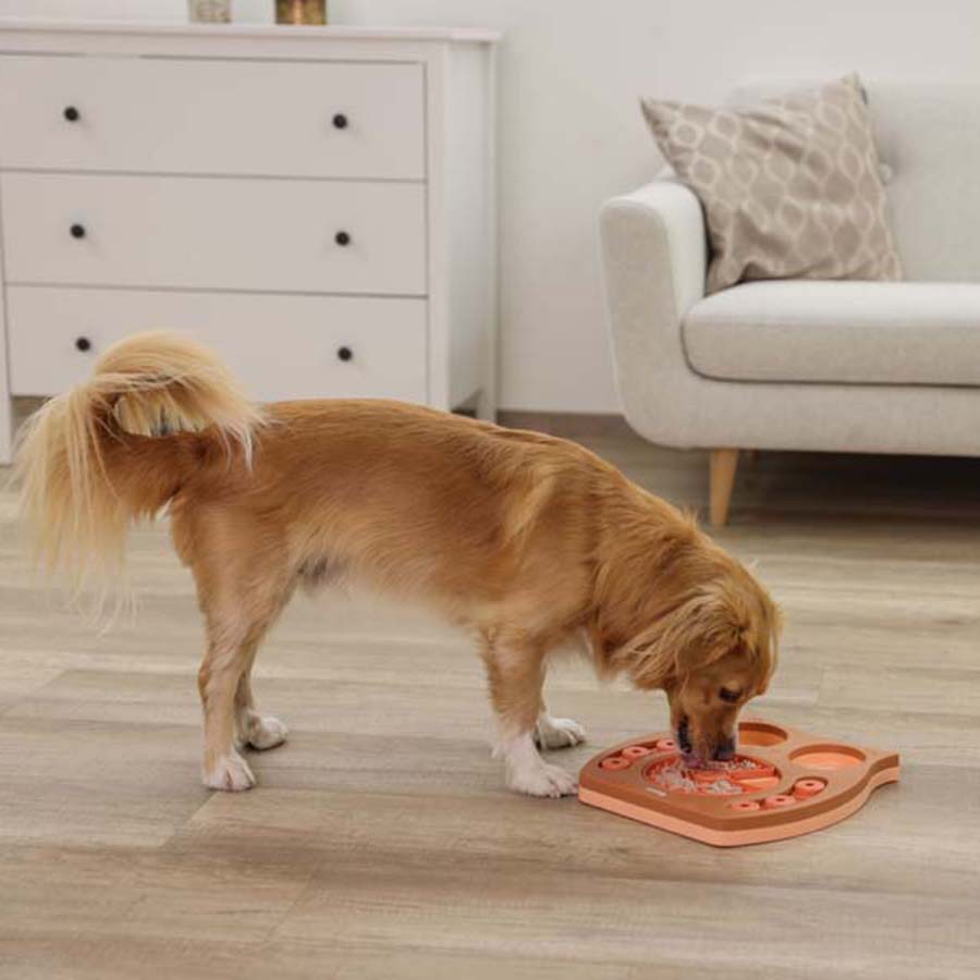 Kerbl Thinking and Learning Brain Game Dog Toy - Owl