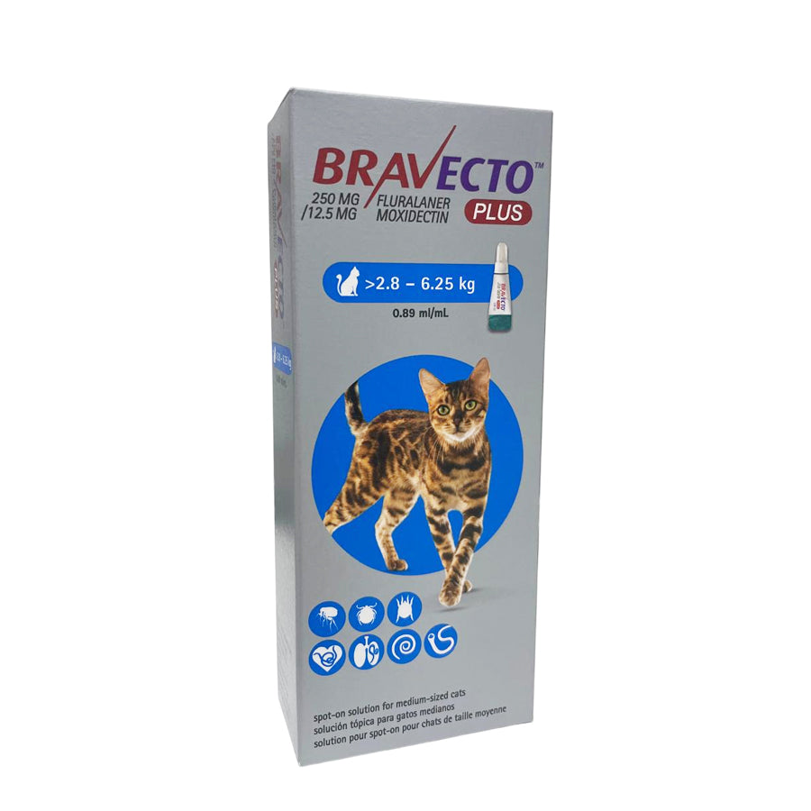 Bravecto Plus Cat Spot-On 250mg ( 2.8-6.25kg) per pipette