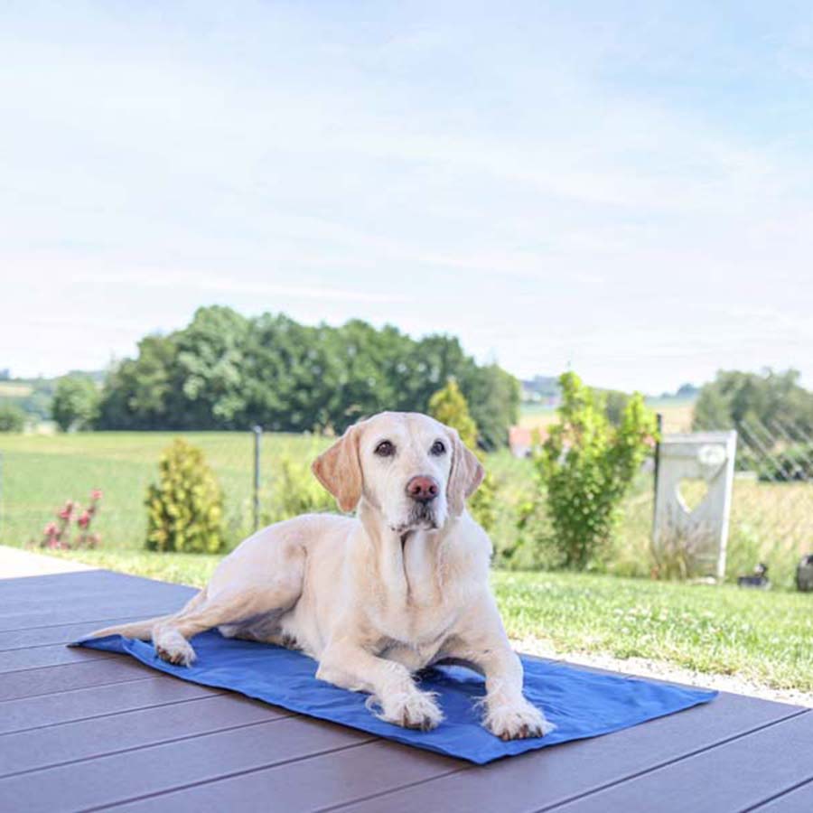 Kerbl Cooling Mat for Dogs - 50 x 90cm