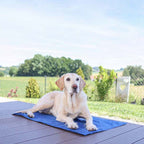Kerbl Cooling Mat for Dogs - 50 x 90cm