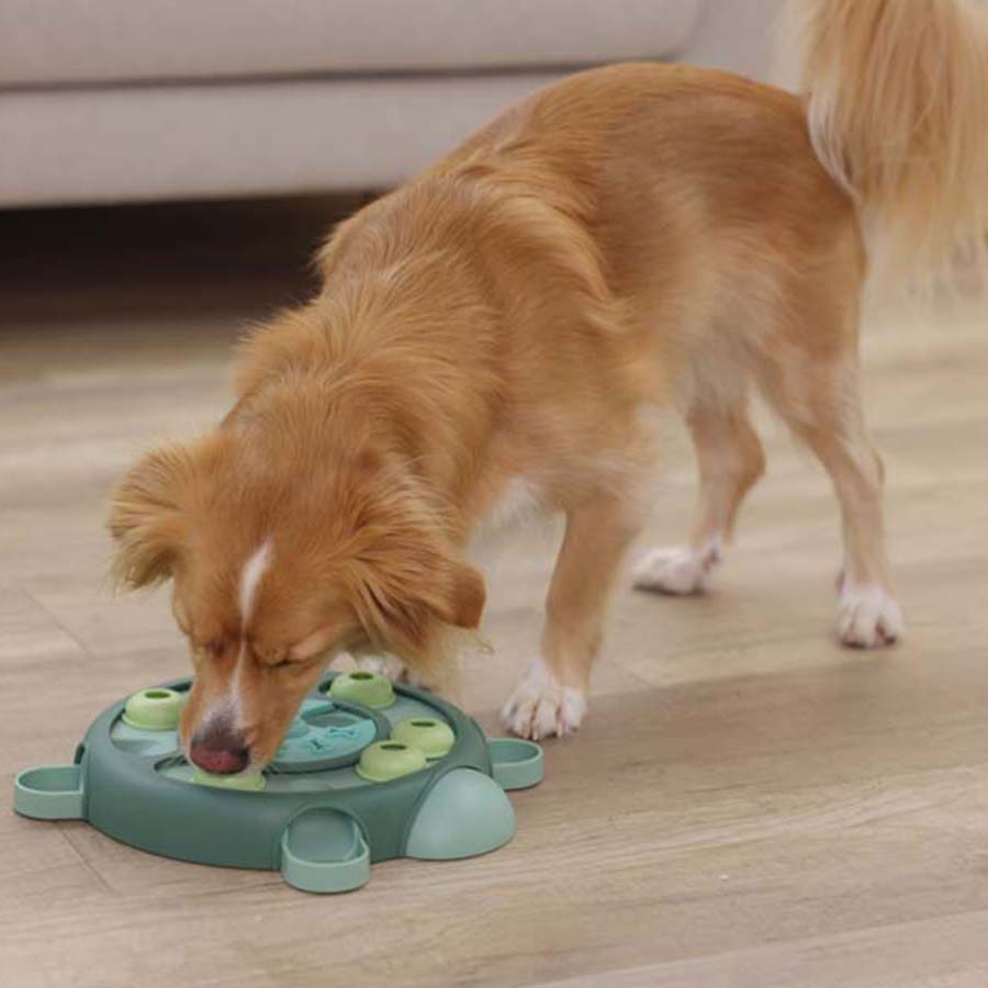 Kerbl Thinking and Learning Brain Game Dog Toy - Turtle