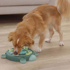 Kerbl Thinking and Learning Brain Game Dog Toy - Turtle