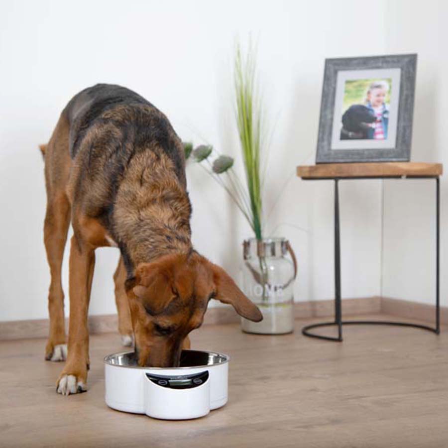 Eyenimal Intelligent Pet Bowl Large