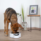 Eyenimal Intelligent Pet Bowl Large